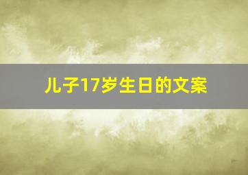 儿子17岁生日的文案