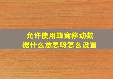 允许使用蜂窝移动数据什么意思呀怎么设置