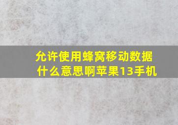 允许使用蜂窝移动数据什么意思啊苹果13手机