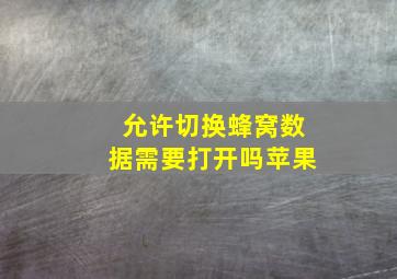 允许切换蜂窝数据需要打开吗苹果