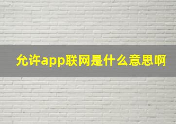 允许app联网是什么意思啊