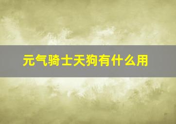 元气骑士天狗有什么用