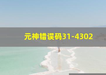 元神错误码31-4302