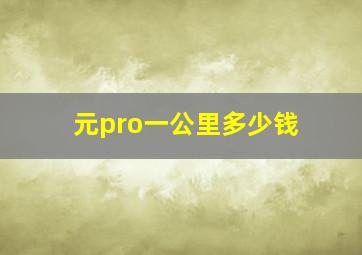 元pro一公里多少钱