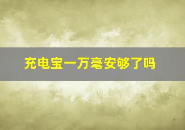 充电宝一万毫安够了吗