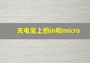 充电宝上的in和micro