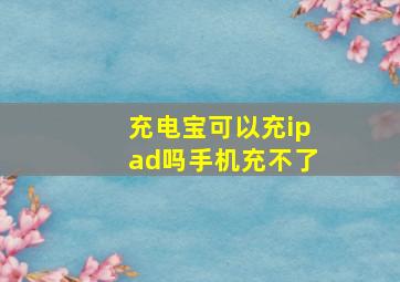 充电宝可以充ipad吗手机充不了