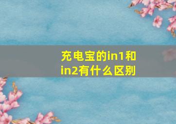 充电宝的in1和in2有什么区别