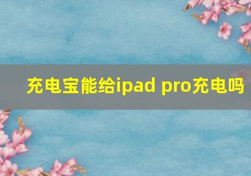 充电宝能给ipad pro充电吗