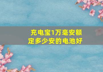 充电宝1万毫安额定多少安的电池好