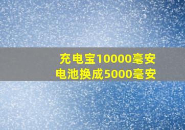 充电宝10000毫安电池换成5000毫安