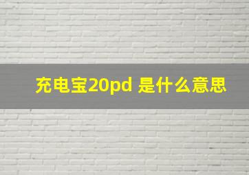 充电宝20pd+是什么意思