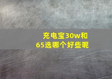 充电宝30w和65选哪个好些呢