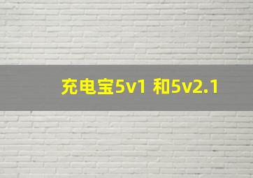 充电宝5v1 和5v2.1