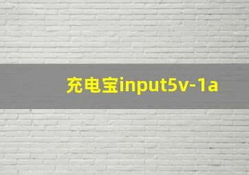 充电宝input5v-1a