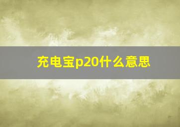 充电宝p20什么意思