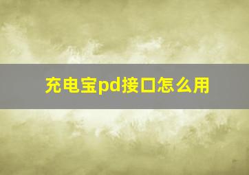 充电宝pd接口怎么用