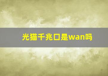 光猫千兆口是wan吗