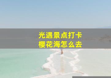 光遇景点打卡樱花海怎么去