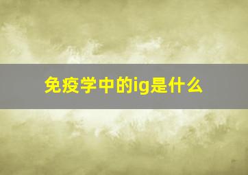 免疫学中的ig是什么