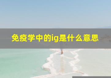 免疫学中的ig是什么意思