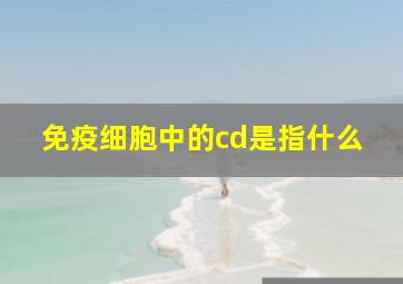 免疫细胞中的cd是指什么