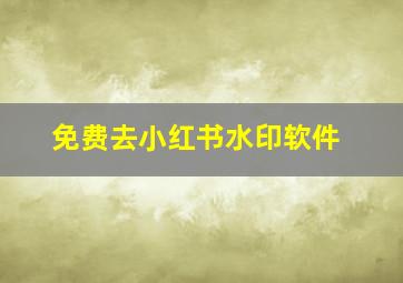 免费去小红书水印软件