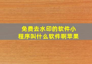 免费去水印的软件小程序叫什么软件啊苹果