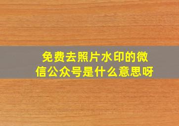 免费去照片水印的微信公众号是什么意思呀