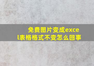 免费图片变成excel表格格式不变怎么回事