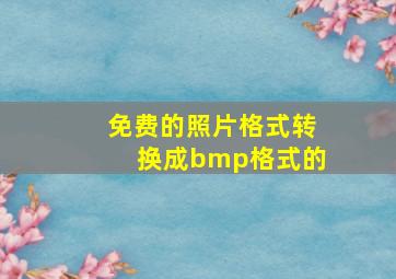 免费的照片格式转换成bmp格式的