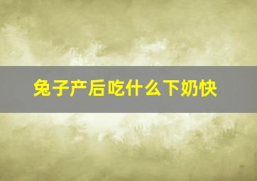 兔子产后吃什么下奶快