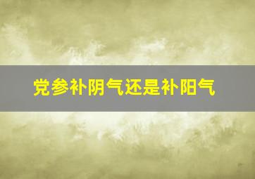 党参补阴气还是补阳气