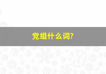 党组什么词?