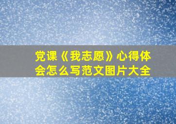 党课《我志愿》心得体会怎么写范文图片大全