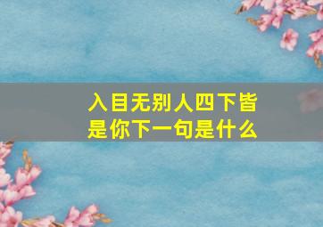 入目无别人四下皆是你下一句是什么