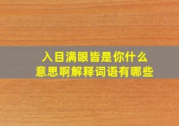 入目满眼皆是你什么意思啊解释词语有哪些