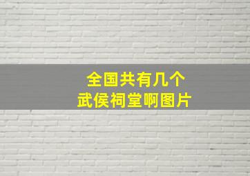 全国共有几个武侯祠堂啊图片