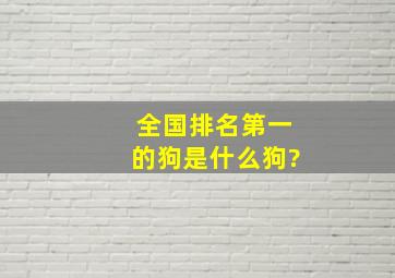 全国排名第一的狗是什么狗?