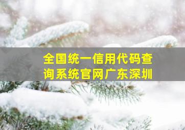 全国统一信用代码查询系统官网广东深圳