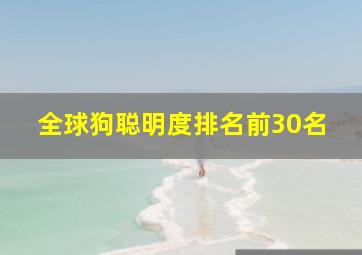 全球狗聪明度排名前30名