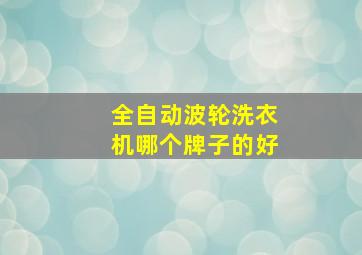 全自动波轮洗衣机哪个牌子的好