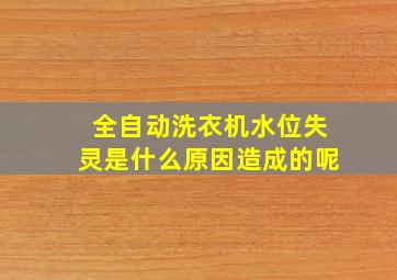 全自动洗衣机水位失灵是什么原因造成的呢