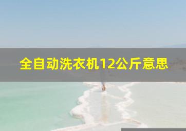 全自动洗衣机12公斤意思