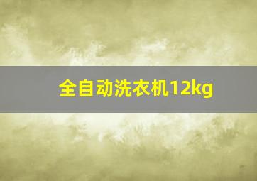 全自动洗衣机12kg