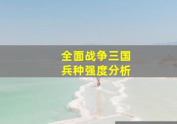 全面战争三国兵种强度分析