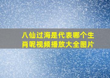 八仙过海是代表哪个生肖呢视频播放大全图片