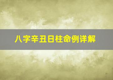 八字辛丑日柱命例详解