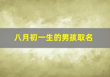 八月初一生的男孩取名