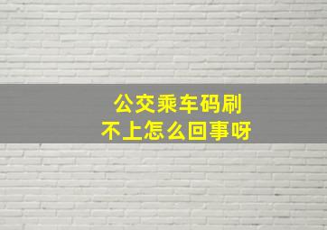 公交乘车码刷不上怎么回事呀